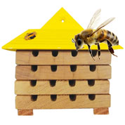 Colmeia para abelhas solitárias - Caillard